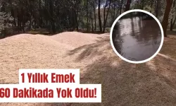 1 Yıllık Emek 60 Dakikada Yok Oldu! 
