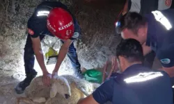 30 metrelik kuyuya düşen koyunu itfaiye kurtardı