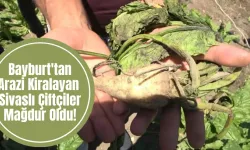 Bayburt'tan Arazi Kiralayan Sivaslı Çiftçiler Mağdur Oldu! 