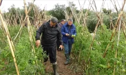  Dolu, Tarım Ürünlerine Zarar Verdi