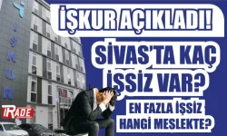 İŞKUR Açıkladı! Sivas'ta Kaç İşsiz Var, En Fazla İşsiz Hangi Meslekte? 