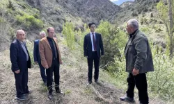 Kaymakam Açıkbaş, Kayı Köyünde incelemede bulundu