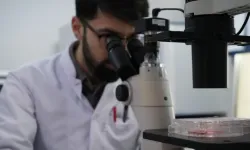 Korona Virüsü Yüzde 99 Engelleyen Burun Spreyi Ürettiler