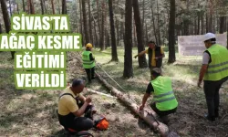 Sivas'ta Ağaç Kesme Eğitimi Verildi 