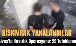 Sivas'ta Hırsızlık Operasyonu: 29 Tutuklama 