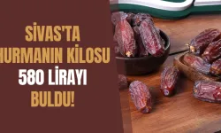 Sivas'ta Hurmanın Kilosu 580 Lirayı Buldu! 