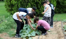 Tabiat Mektebinde Yaz Dönemi Eğitimleri Sürüyor