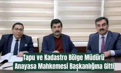 Tapu ve Kadastro Bölge Müdürü Anayasa Mahkemesi Başkanlığına Gitti 