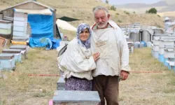 Yarım Asırdır Gezgin Arıcılık Yapıyorlar 
