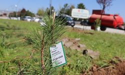 SCÜ Kampüsünde Türk Dünyası İçin Fidanlar Toprakla Buluştu