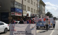 Şarkışla'da farkındalık yürüyüşü düzenledi