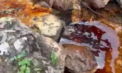 Sivas'taki çevre felaketi Meclis gündeminde!