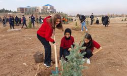 E-Twinning’de Sivas Farkı: "Yeşil Adımlar" Projesiyle Öğrenciler Çevre Elçisi Oldu
