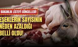 Bakanlık listeyi güncelledi! Eşeklerin sayısının neden azaldığı belli oldu!