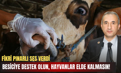 Fikri Pınarlı Ses Verdi: Besiciye Destek Olun, Hayvanlar Elde Kalmasın!