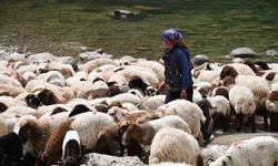 Bir çocuğun sessiz çığlığı: "Hiç oyuncağım olmadı"