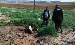 İnek çamura saplandı, yardımına itfaiye koştu