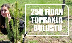 250 Fidan Toprakla Buluştu