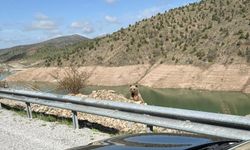 Ayıyı görüntülemek isterken canından oluyordu!