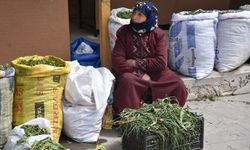 Sivas'ın Yeşil Altını: Madımak Hem Sofraları Hem Cepleri Dolduruyor
