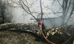4 kümes yandı; 100 tavuk öldü
