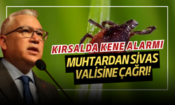 Kırsalda Kene Alarmı: Muhtardan Sivas Valisine Çağrı!
