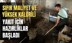 Sıfır maliyet ve yüksek kalorili yakıt için hazırlıklar başladı