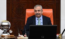 Sırrı Süreyya Önder yarın mecliste anılacak!