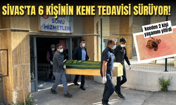 Sivas'ta 6 kişinin kene tedavisi sürüyor!