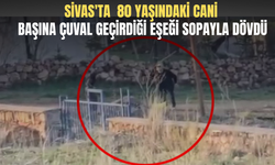Sivas'ta  80 Yaşındaki Cani Başına Çuval Geçirdiği Eşeği Sopayla Dövdü