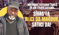Sivas'ta alıcı da mağdur, satıcı da!