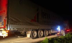 Sivas'ta Fındık Kabuğu Yüklü TIR'da Yangın Paniği