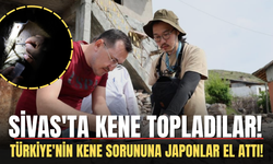 Türkiye'nin Kene Sorununa Japonlar El Attı! Sivas'ta Kene Topladılar!