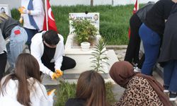Sivas'ta öğrenciler şehitliği temizledi