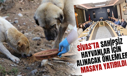 Sivas’ta Sahipsiz Hayvanlar İçin Alınacak Önlemler Masaya Yatırıldı