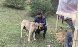 Sosyal medyada linç edilmişti! Gerçek bambaşka çıktı