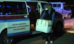 Organları 3 Hastaya Umut Olacak