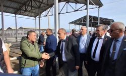 Türkiye'nin En Büyük Pazarlarından Biri Çökmek Üzere! İşte Çarpıcı Detaylar!