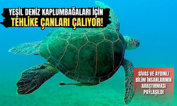 Yeşil Deniz Kaplumbağaları için tehlike çanları çalıyor!