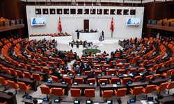 Zirai don konusu meclis gündemine geliyor