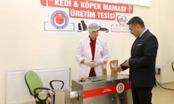 Sivas'ta Sıfır Atık Projesiyle Hem Doğa Hem Hayvanlar Kazanıyor