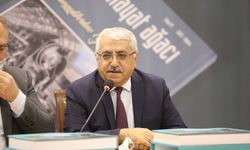 İbrahim Yasak  “Divriği”yi anlattı