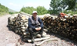 40 yıldır titrek kavak ormanına emek veriyor