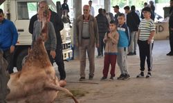 Sivas'ta Kurban Kesim Noktaları Doldu Taştı