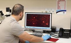 Alzheimer’ın Kan Testiyle Erken Tanısı Mümkün Olabilir