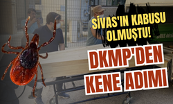 Sivas'ın kabusu olmuştu! DKMP'den kene adımı