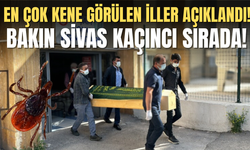 En çok kene görülen iller açıklandı! Bakın Sivas kaçıncı sırada!