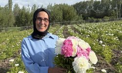 Hobi olarak üretime başladı, şimdi 81 ile gönderim sağlıyor