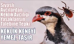 Sivaslı Avcılardan Keklik Avcılığı Yasaklansın Talebine Tepki: “Keklik Keneyi Yemez, Taşır”