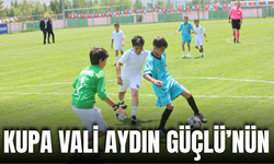 Kupa Vali Aydın Güçlü’nün